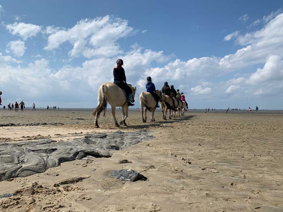 ponyreiten-cuxhaven